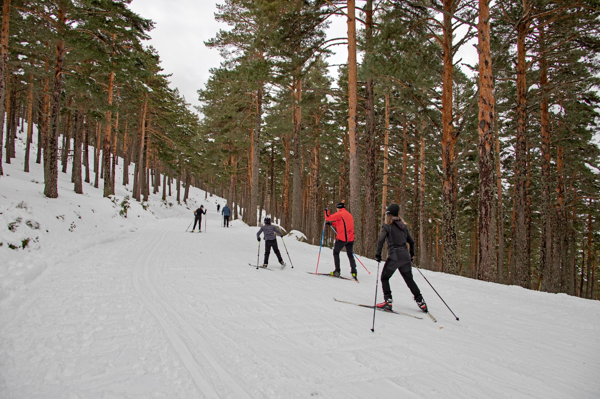 hq_Area Recreativa Invernal Navafria06_Segovia
